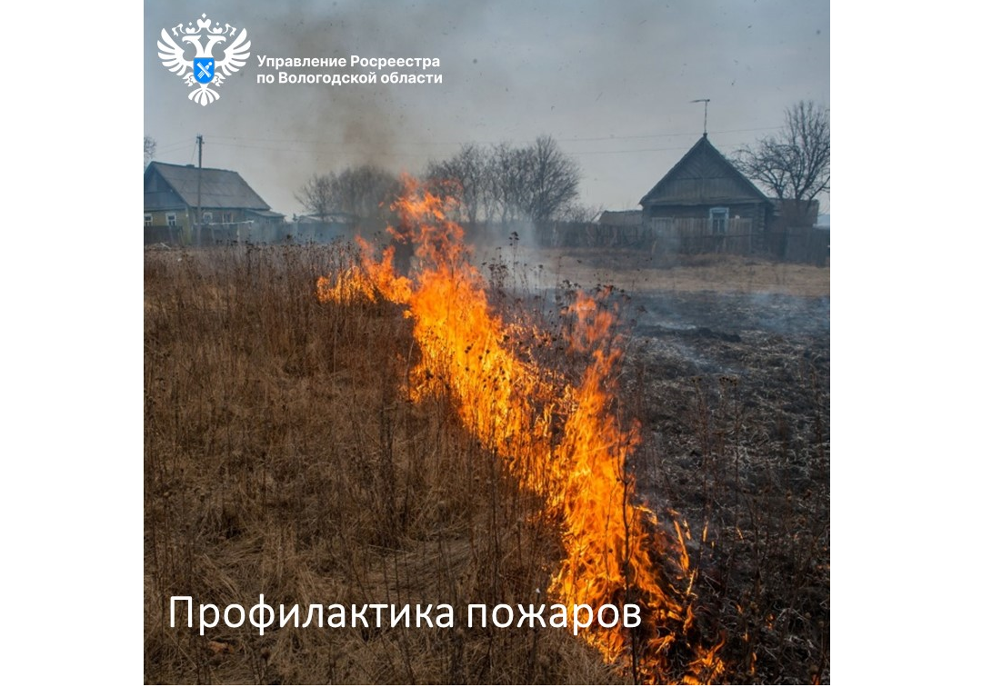 На страже природы: в Вологодском Росреестре напомнили о необходимости соблюдения мер пожарной безопасности на землях сельскохозяйственного назначения.